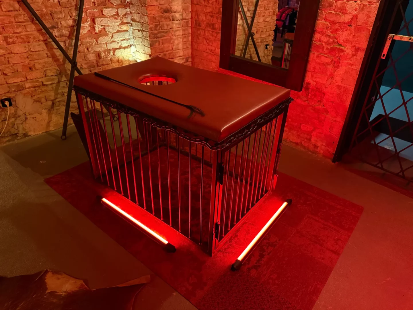 Kovová klec s polstrovaným víkem a otvorem, BDSM studio Vinohrady, Praha 2